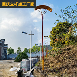 重慶農(nóng)家樂路燈桿工程案列